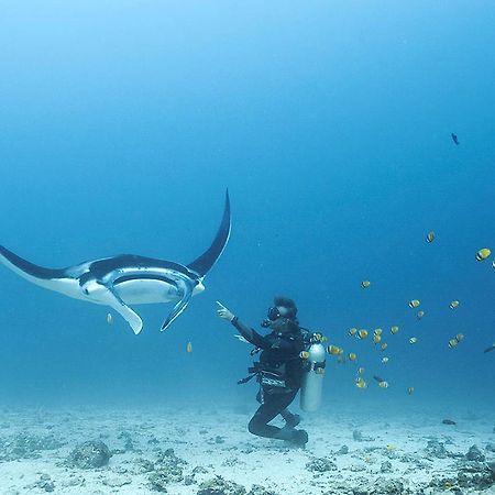 Blue Marlin Dive Komodo ลาบวนบาโจ ภายนอก รูปภาพ