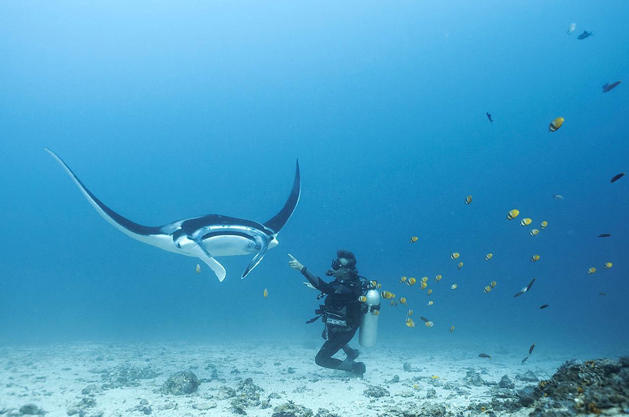 Blue Marlin Dive Komodo ลาบวนบาโจ ภายนอก รูปภาพ